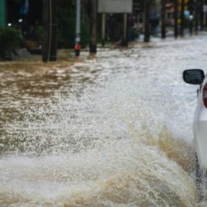 Foto: Divulgação.