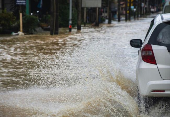 Foto: Divulgação.