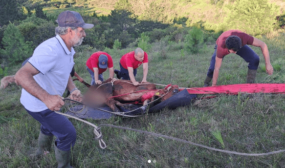 Foto: CBMSC/Lages