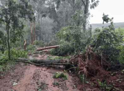 Foto: Defesa Civil de Santa Catarina / Reprodução 