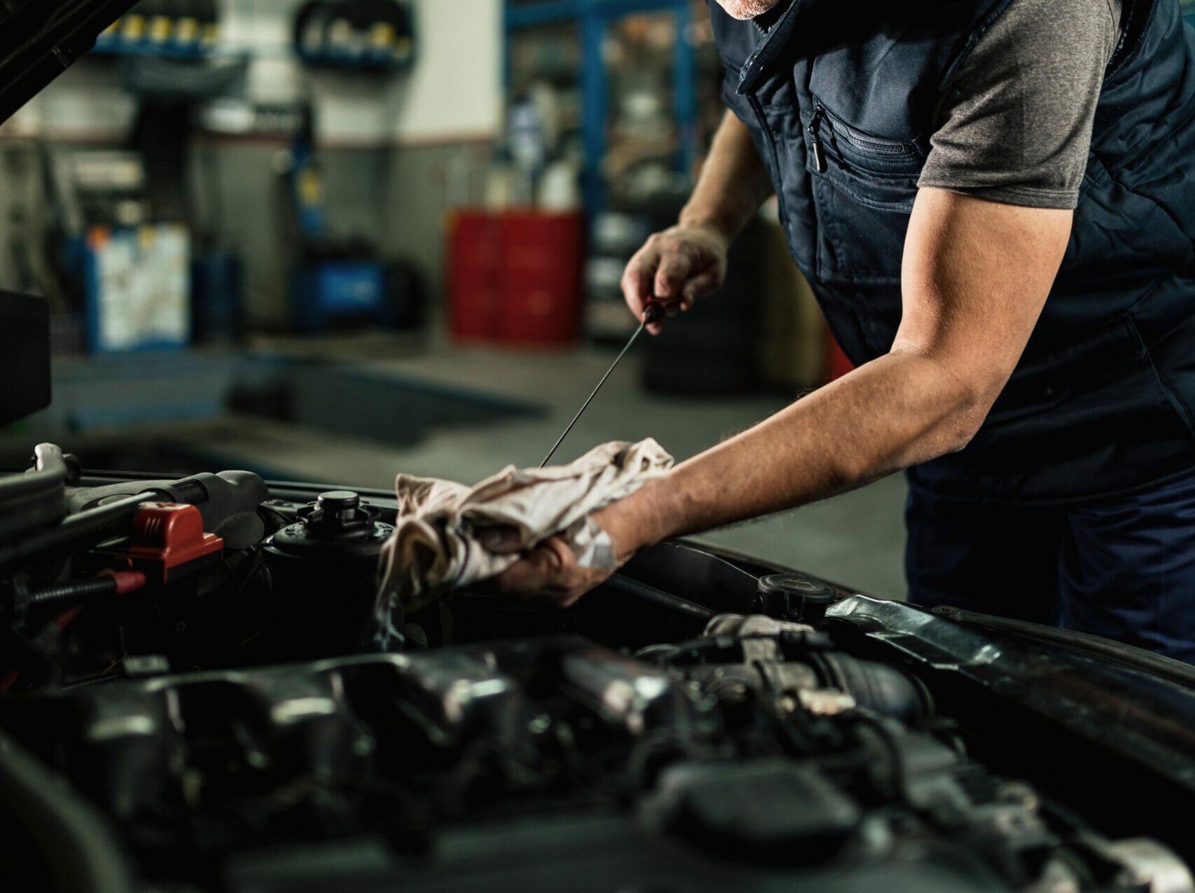 Foto: Freepik | Banco de Imagens