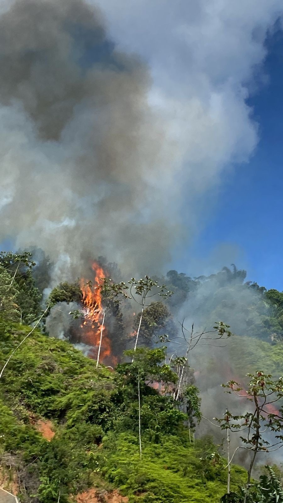 Foto: CBMSC/Divulgação 