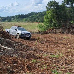 Foto: Polícia Militar Ambiental (PMA)