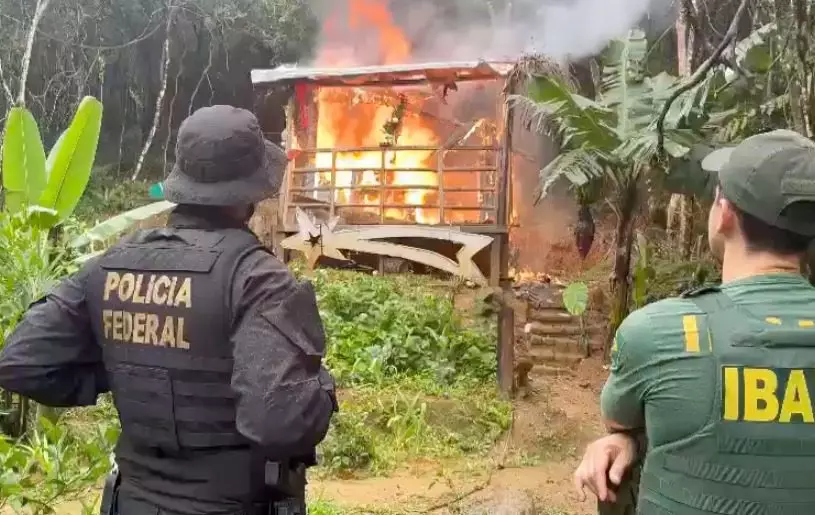 Foto: Polícia Federal/Divulgação 