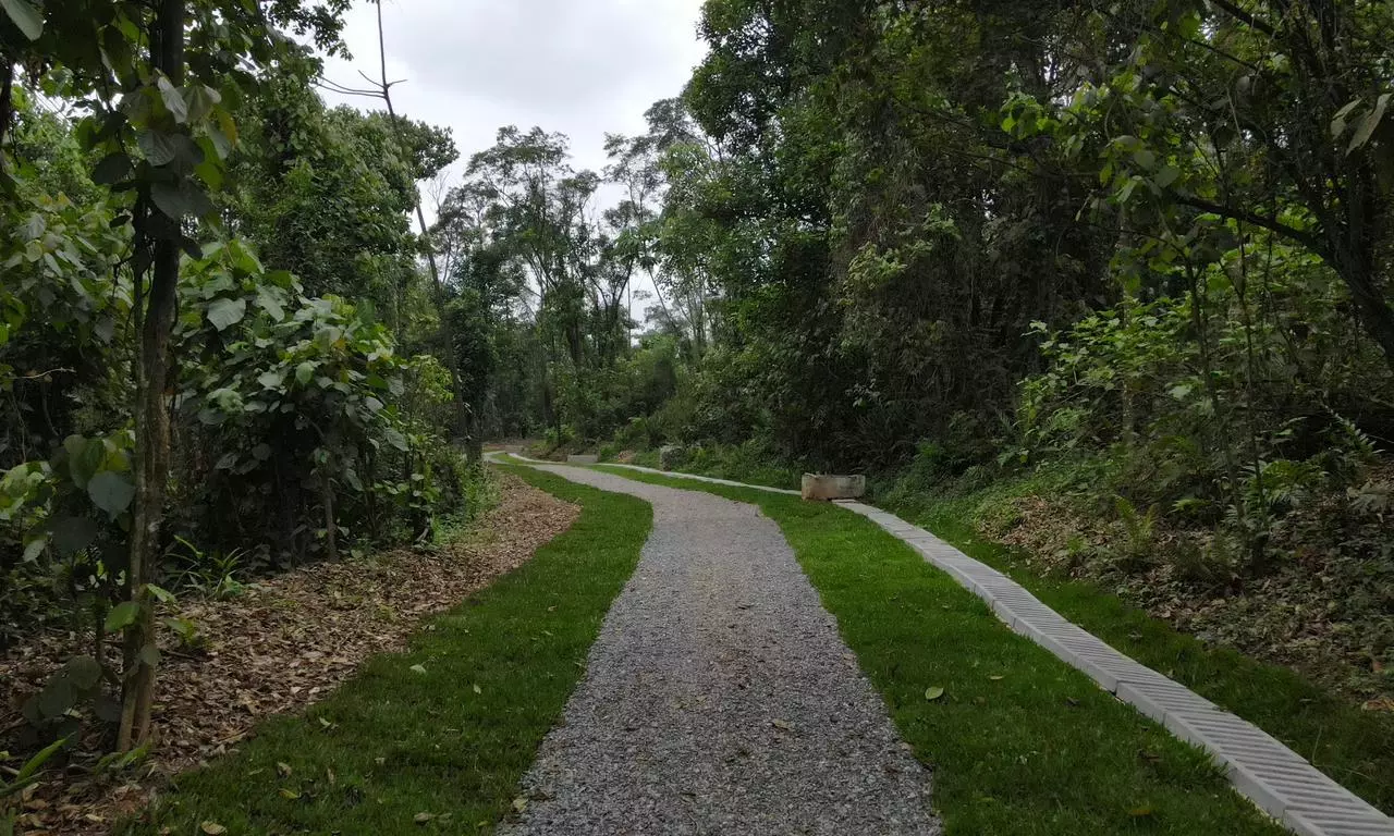 foto: divulgação/ Prefeitura de Joinville