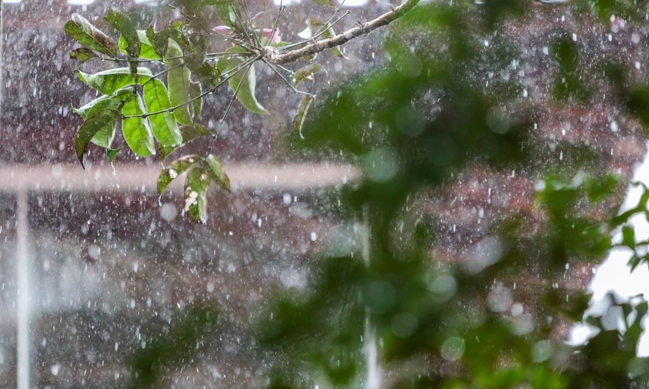 foto: divulgação/Prefeitura de Joinville