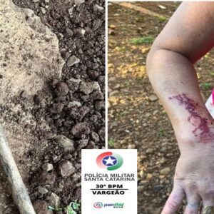 Foto: PMSC/Divulgação 