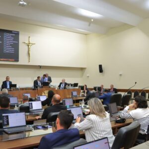 Foto: Câmara de Vereadores de Florianópolis / Reprodução 