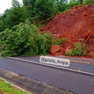 Foto: Organização Pista Limpa/reprodução