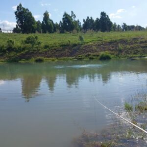 Local onde jovem morreu. Foto: CBMSC, Divulgação 