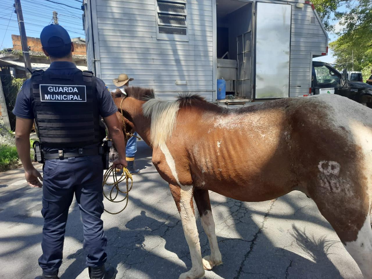 Foto: GMI/Divulgação