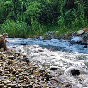 Foto: Divulgação / Polícia Militar Ambiental - Imagem horas após o acidente 