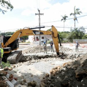 Foto: Divulgação/ Prefeitura de Joinville