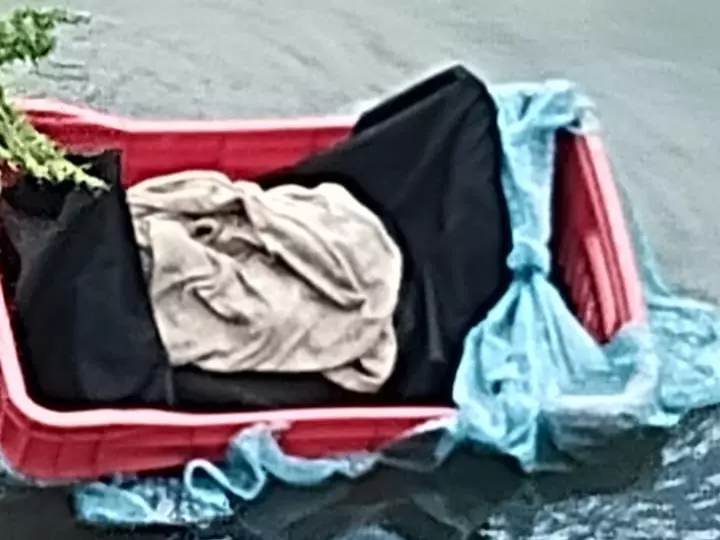 Animal sem cabeça e as patas foi deixado dentro de uma cesta em rio em Lages | Foto: Arquivo pessoal/à Rádio Clube de Lages