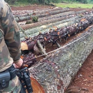 Foto: PMA/Divulgação