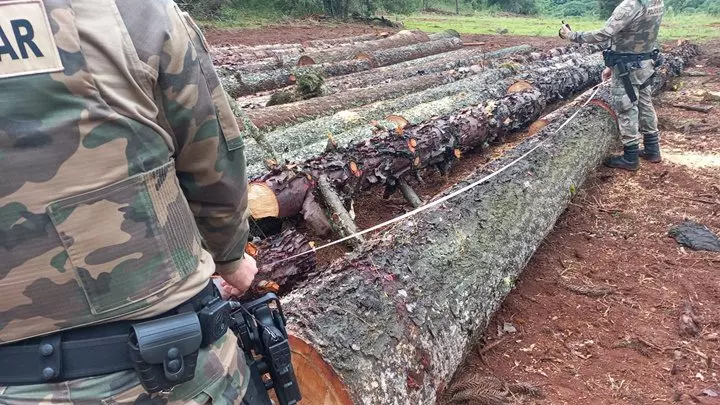 Foto: PMA/Divulgação