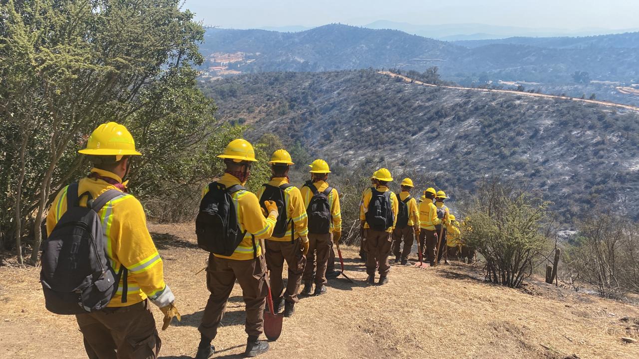 Número de mortos por incêndios florestais no Chile sobe para 64