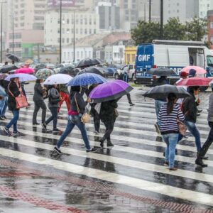 Foto: divulgação / Prefeitura Municipal de Florianópolis 