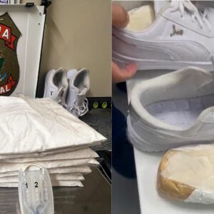 Foto: PF | Divulgação