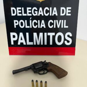 Foto: Polícia Civil de Palmitos