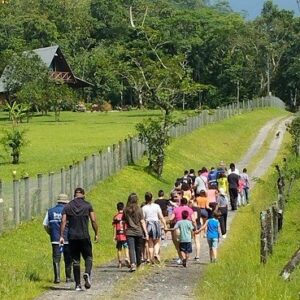 Foto Divulgação Comarca de Criciúma | TJSC