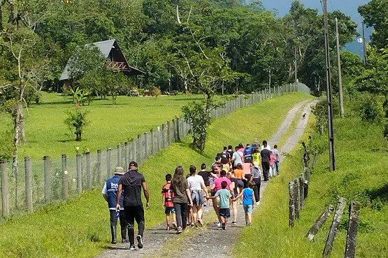 Foto Divulgação Comarca de Criciúma | TJSC