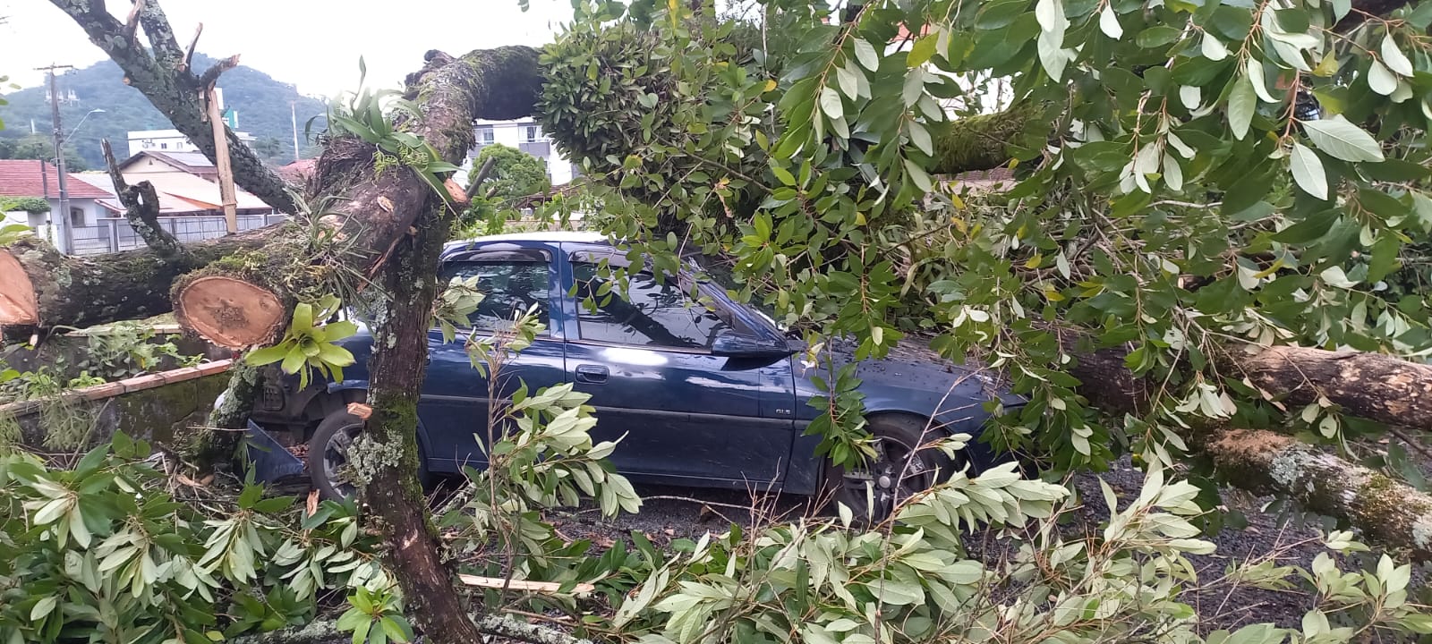 Chuva e vento forte causam estragos em Jaraguá do Sul