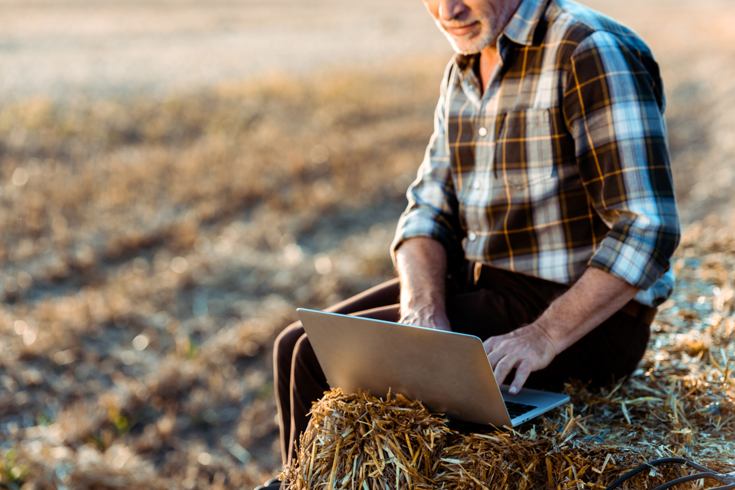 cropped view of happy self-employed farmer typing on laptop while sitting on bale of hay