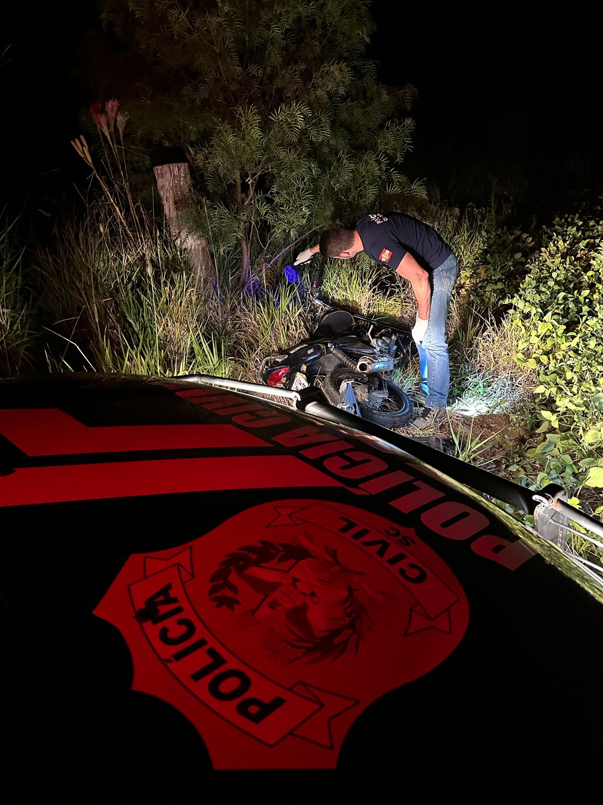 Foto: Polícia Civil de SC/Divulgação 