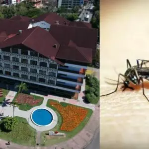 Chega a 28 o número de mortes por dengue em Blumenau