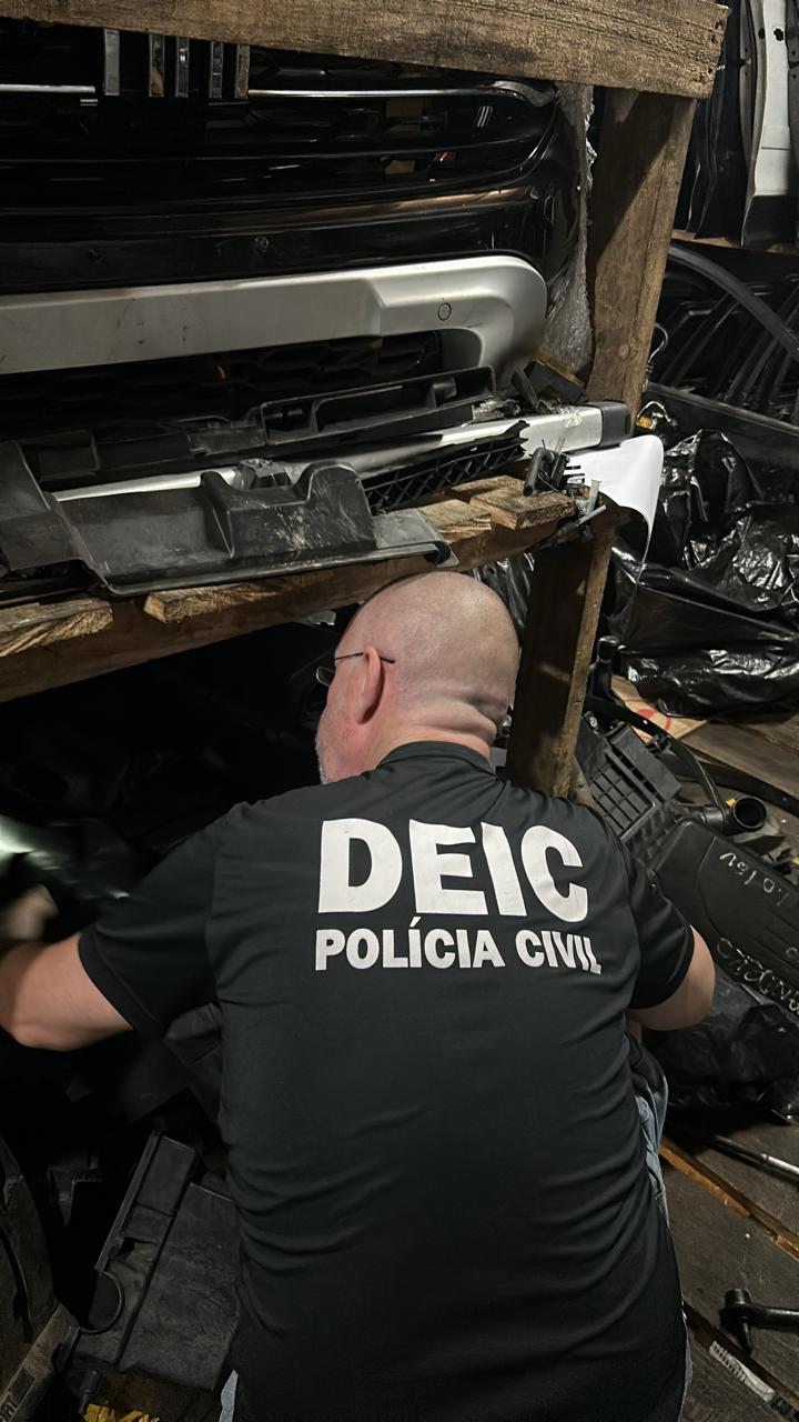 Foto: Polícia Civil/Divulgação 