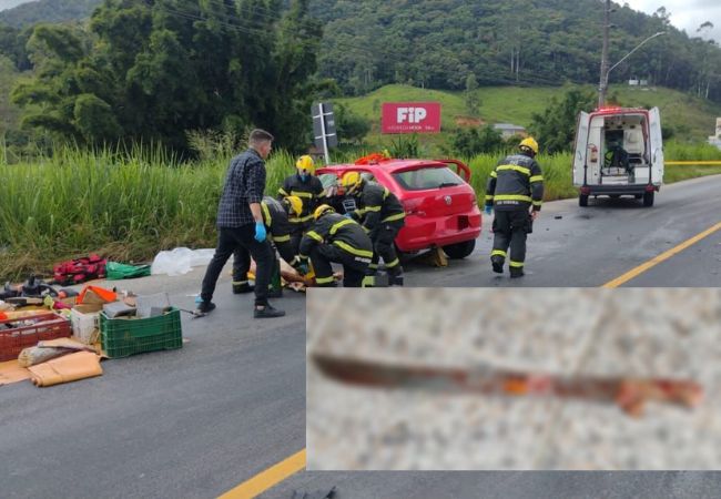 Foto: Polícia Militar/Divulgação.