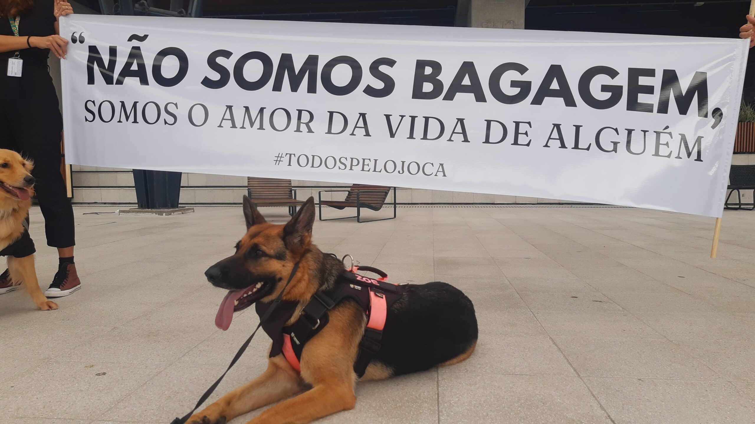 Justiça por Joca grupo faz manifestação no Aeroporto da Capital