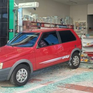 Foto: Polícia Militar de Santa Catarina (PMSC) / Reprodução 