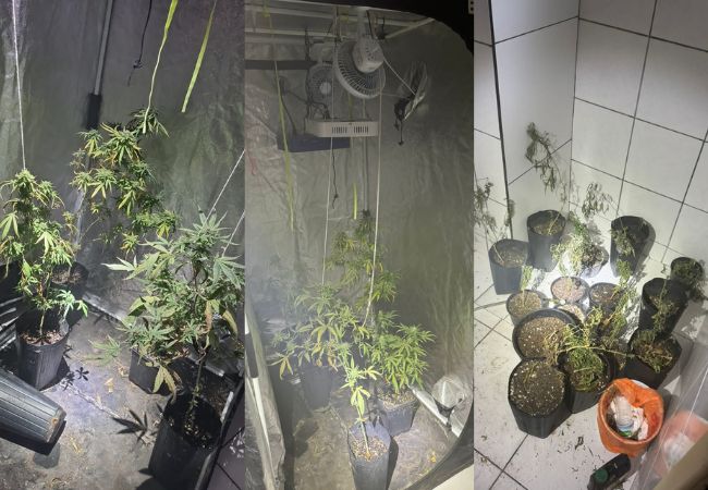 Foto: PM/Divulgação.