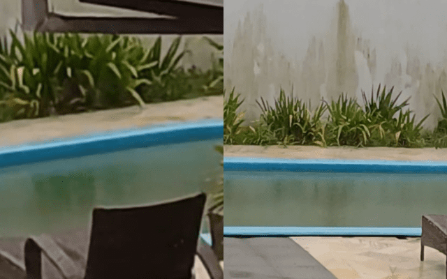 Moradora de Joinville denuncia piscina de casa como foco de dengue