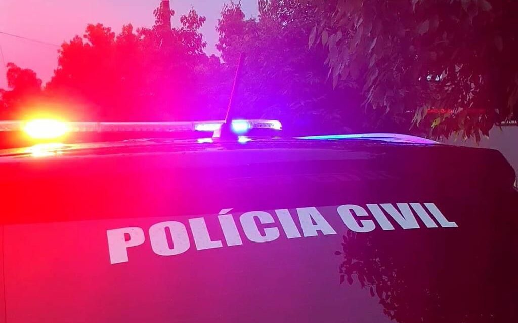 Foto: Polícia Civil | Divulgação