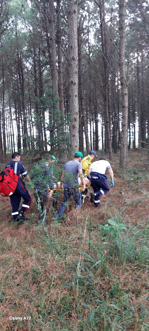 Tronco de árvore cai e deixa homem ferido em Santa Cecília