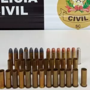 Imagem: Polícia Civil/Divulgação