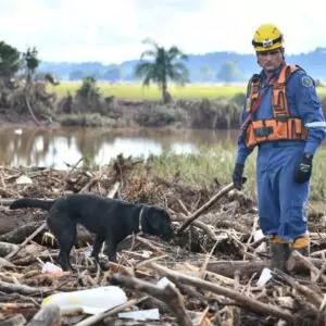 Cruzeiro do Sul teve cerca de 50% da população desalojada e estima que mais de mil casas tenham sido destruídas
