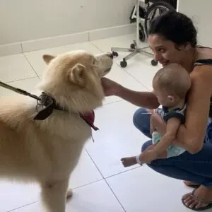 Cachorros "terapeutas" visitam crianças em hospital