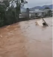 Casa é arrastada pela correnteza após fortes chuvas em Jacinto Machado