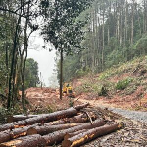 Foto: Divugação/SMOSP