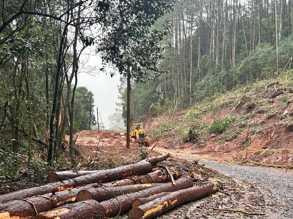 Foto: Divugação/SMOSP