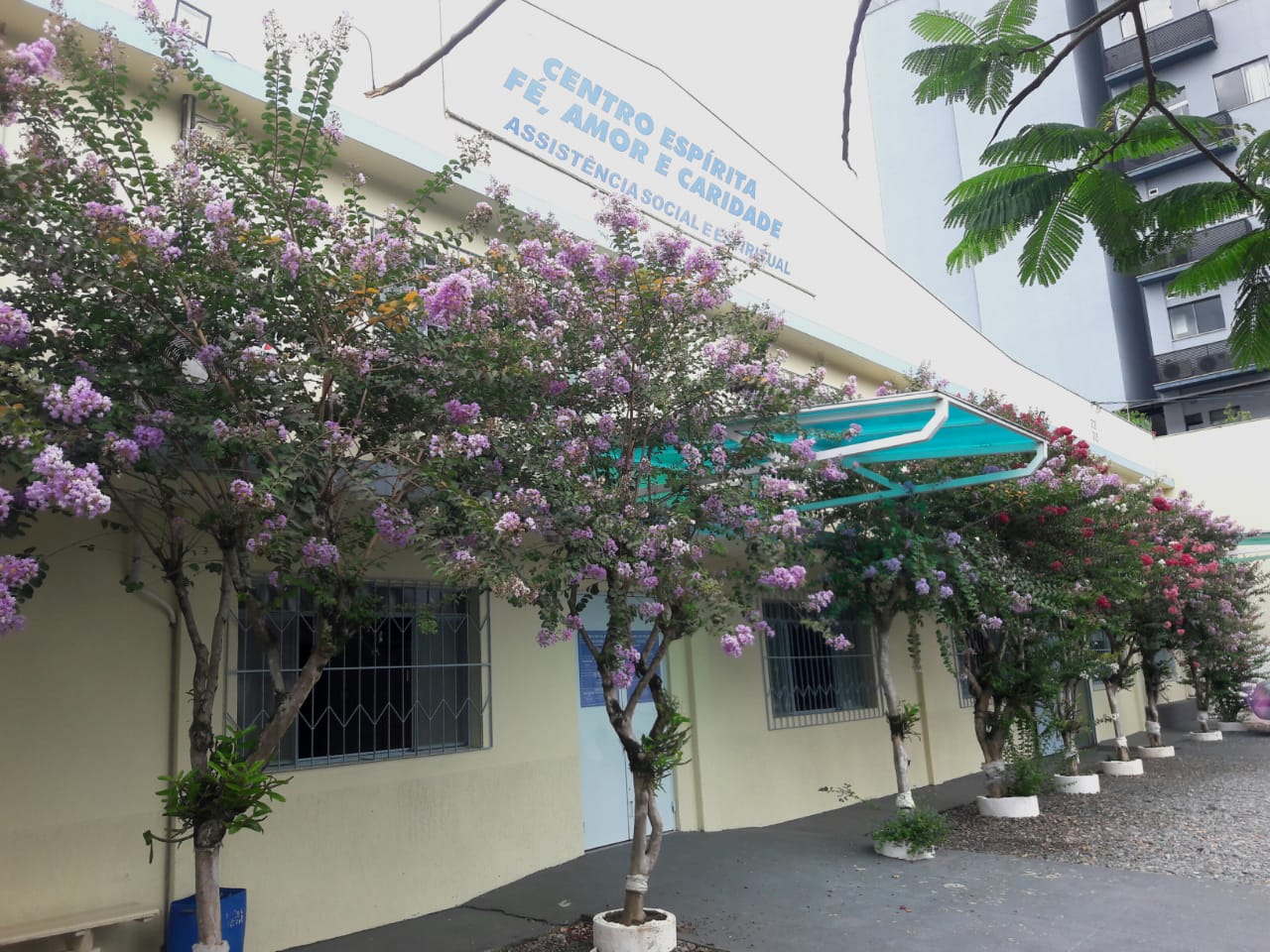 Foto: Divulgação  Foto: Divulgação