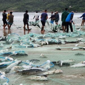 Foto: Informações da Pesca