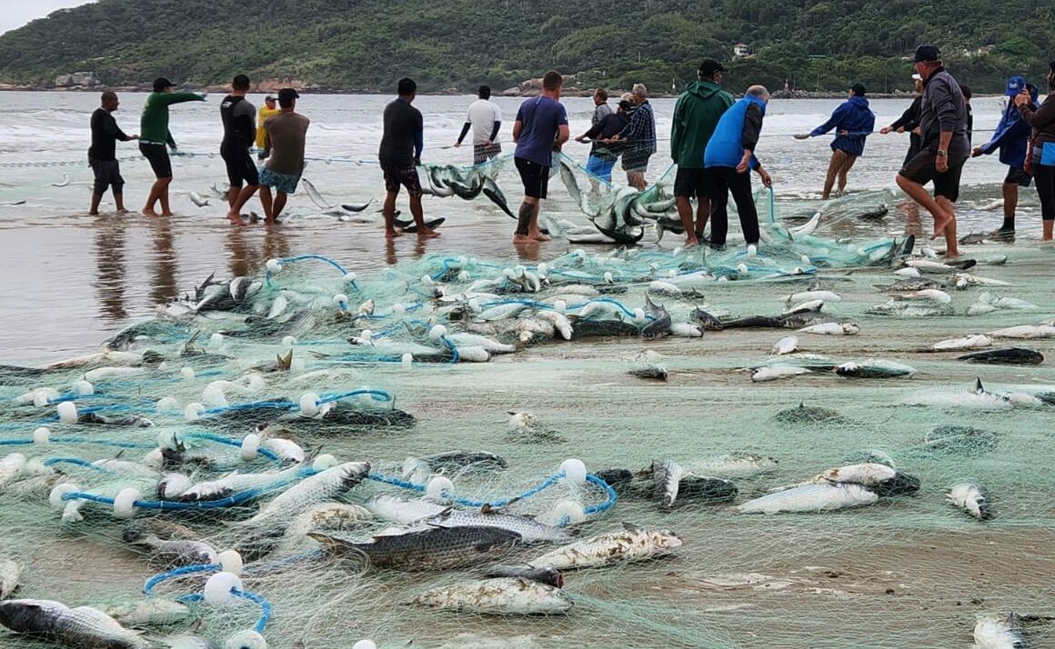 Foto: Informações da Pesca