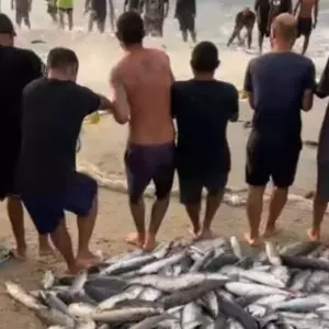 Domingo é marcado por pesca da tainha em Palhoça e na Capital