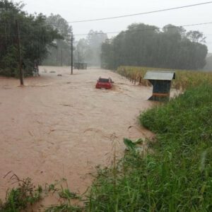 Imagens: Rádio Aliança FM