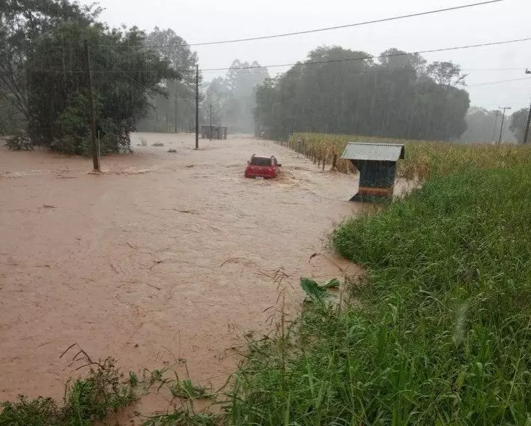 Imagens: Rádio Aliança FM